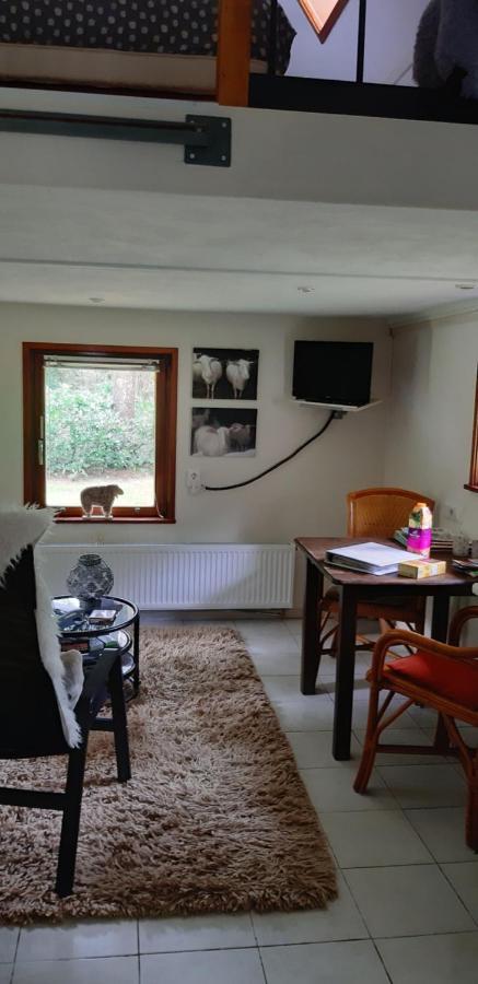 Villa De Hooge Woeste à Emst Extérieur photo