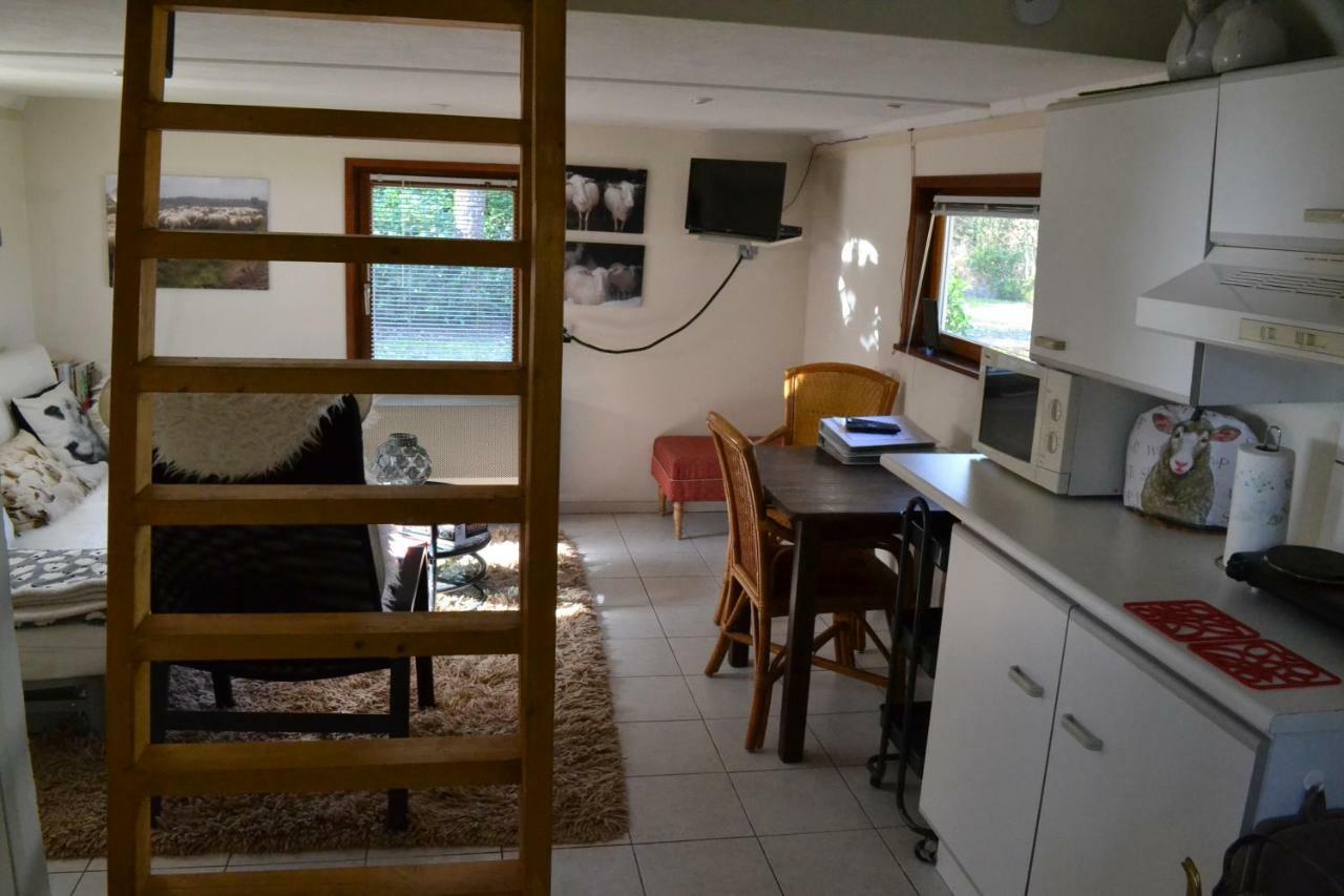 Villa De Hooge Woeste à Emst Extérieur photo